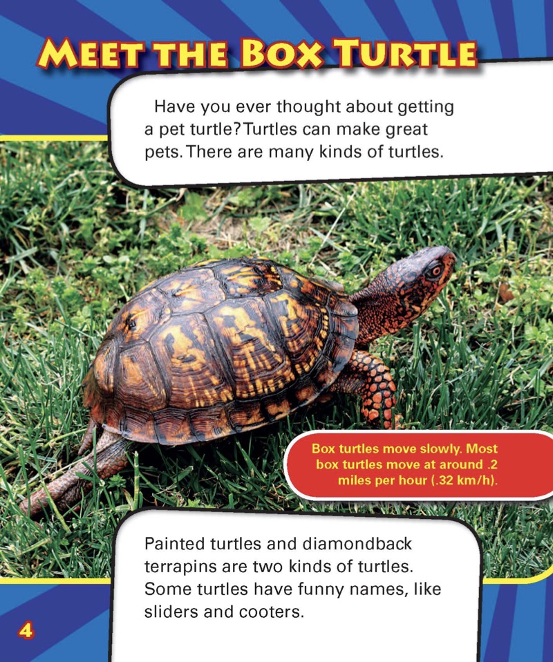 My Friend the Box Turtle — page 1