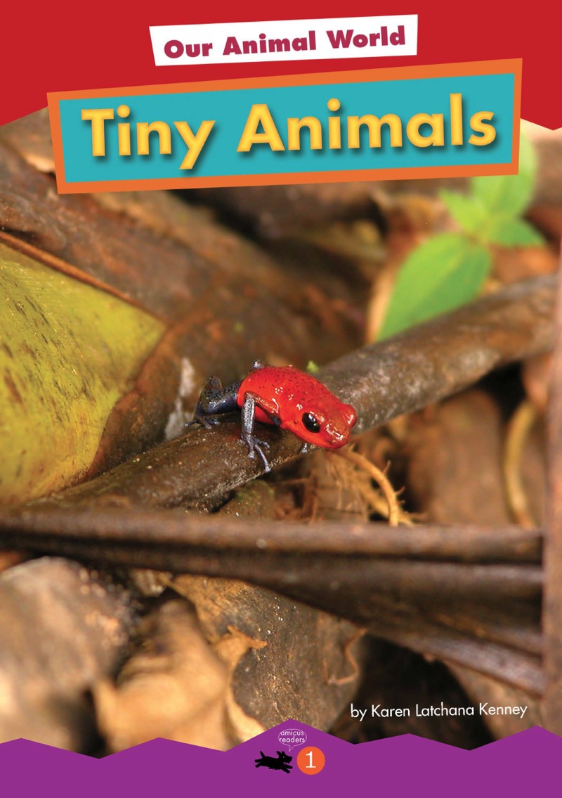 Tiny Animals book cover