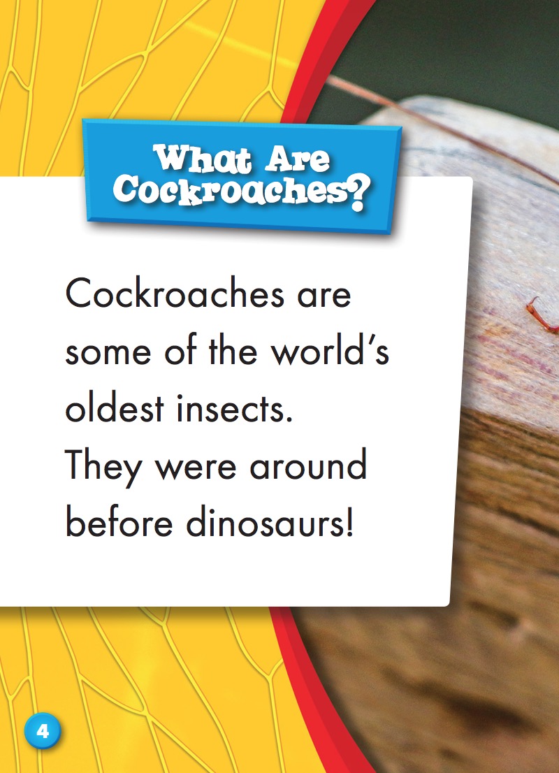 Cockroaches — page 1