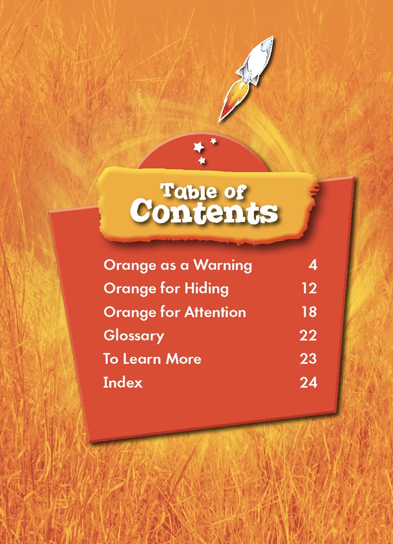 Orange Animals book cover
