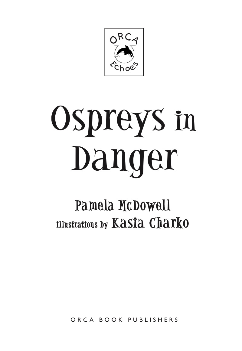 Cricket McKay Book 1: Ospreys in Danger book cover