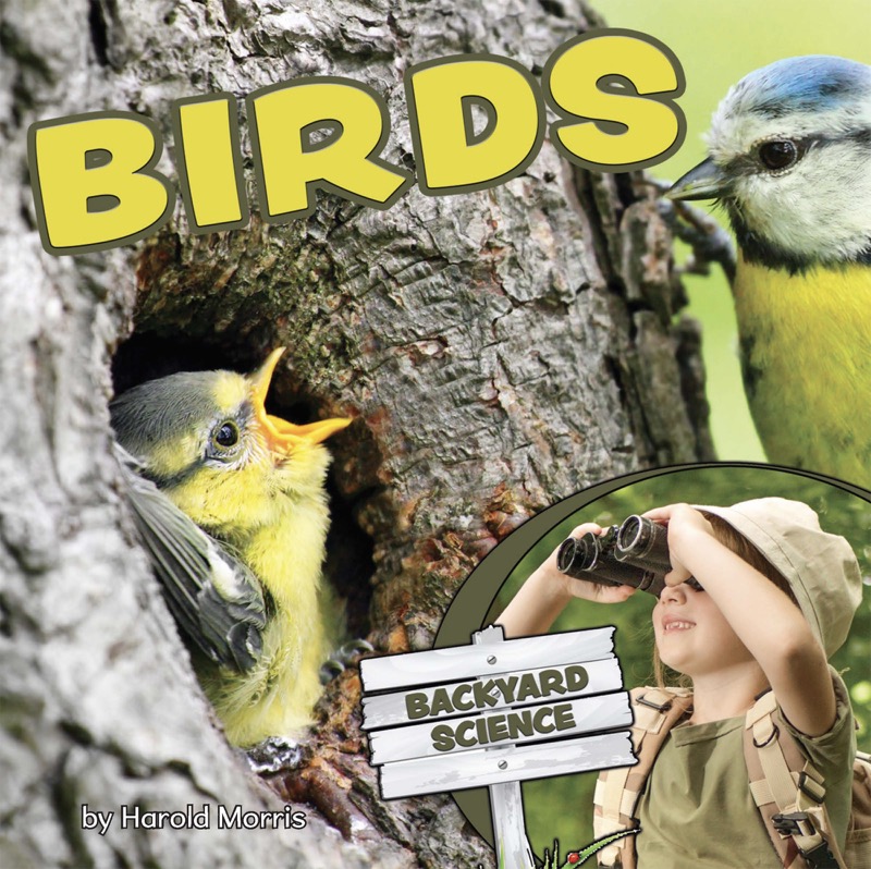 Back Yard Science - Birds book cover