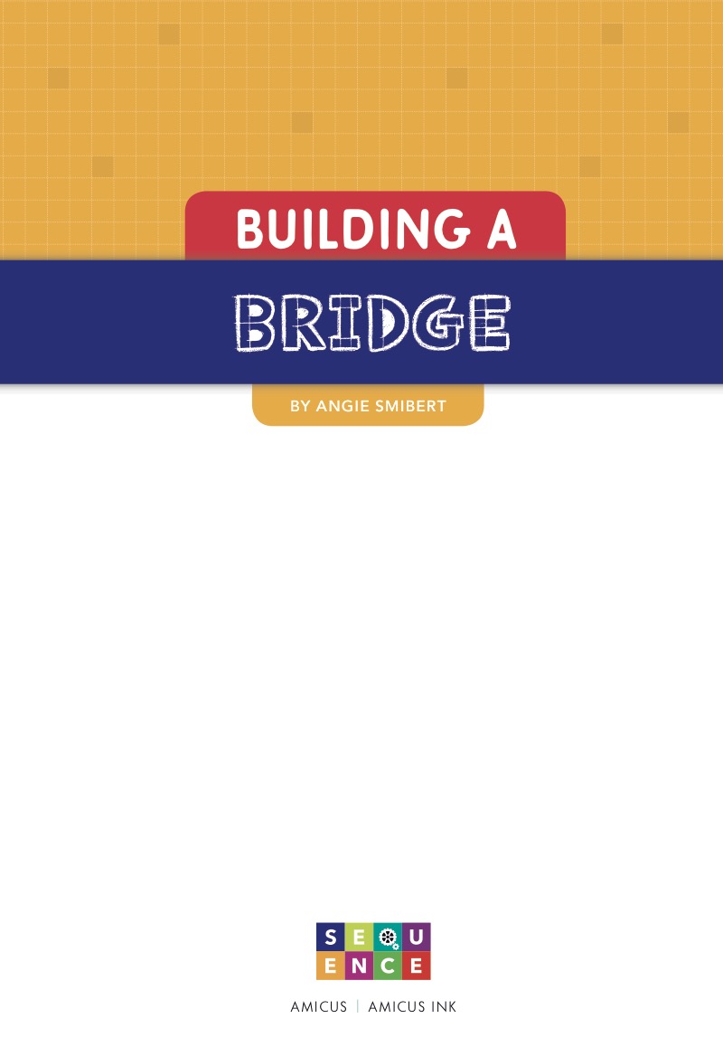 Building a Bridge book cover