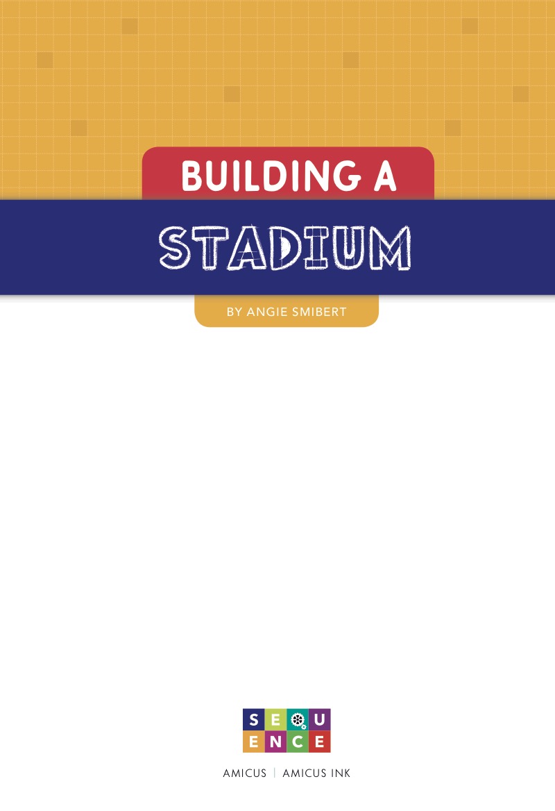 Building a Stadium book cover