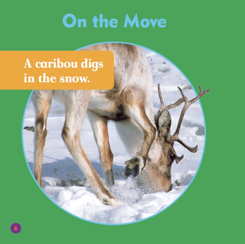 Caribou — page 1