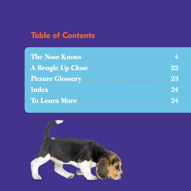 Beagles book cover