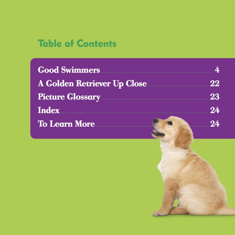 Golden Retrievers book cover