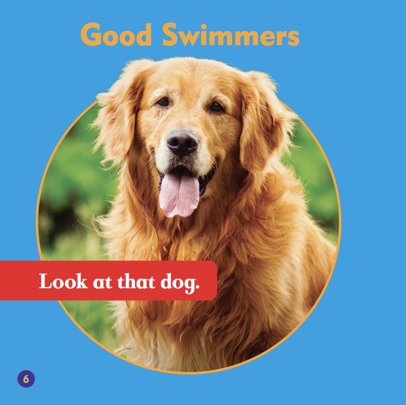Golden Retrievers — page 1