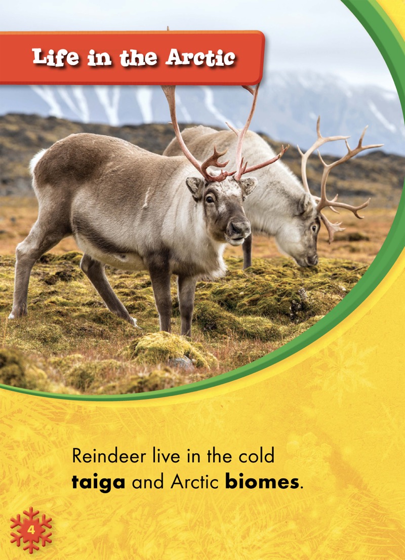 Reindeer — page 1