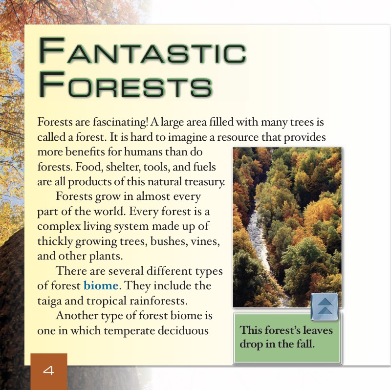 What Are Temperate Deciduous Forests? — page 1