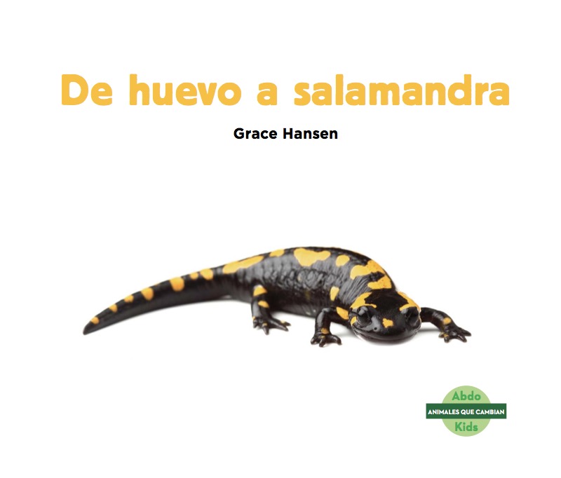 De huevo a salamandra book cover