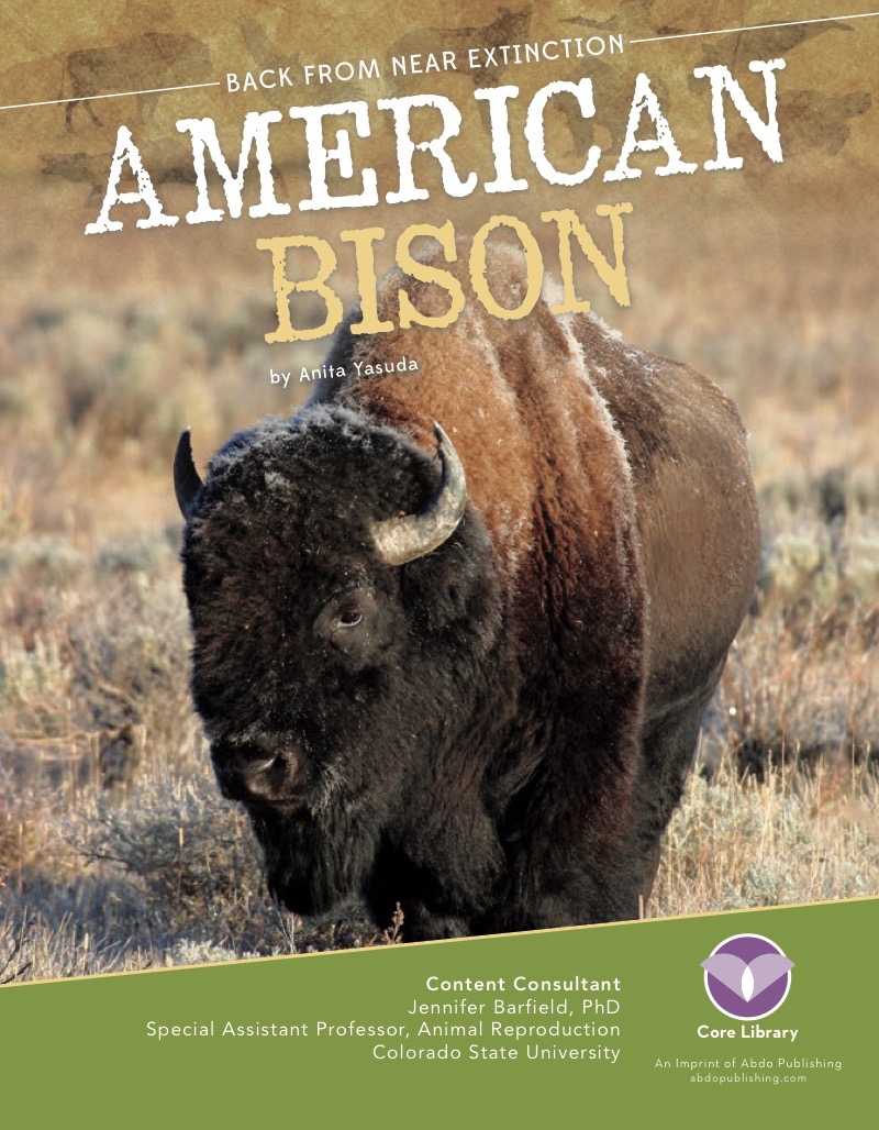 American Bison book cover