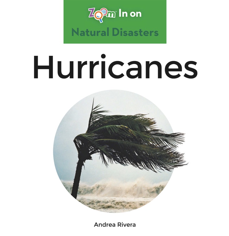 Hurricanes book cover