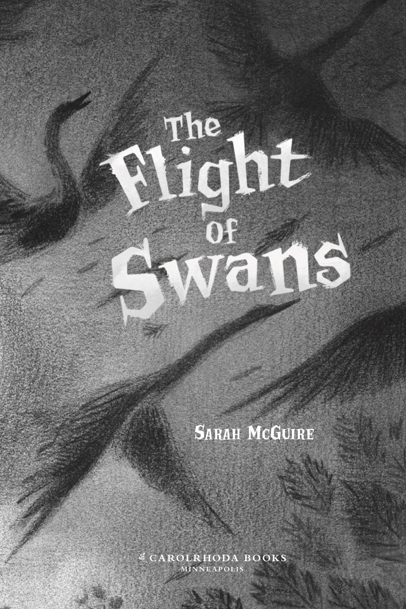 The Flight of Swans book cover