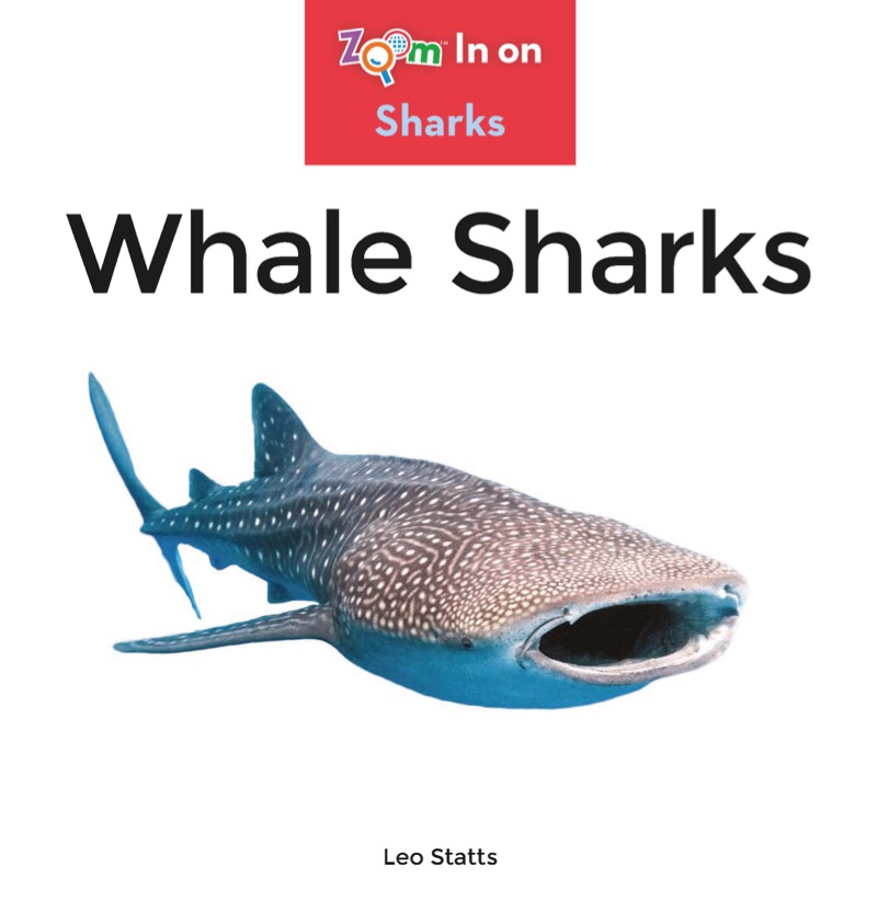 Whale Sharks book cover