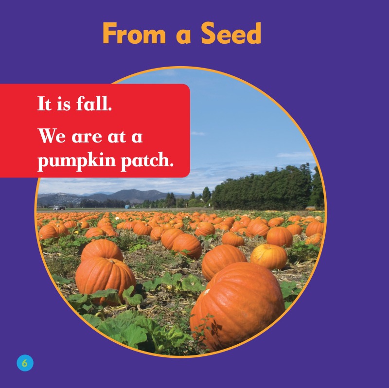Watch a Pumpkin Grow — page 1