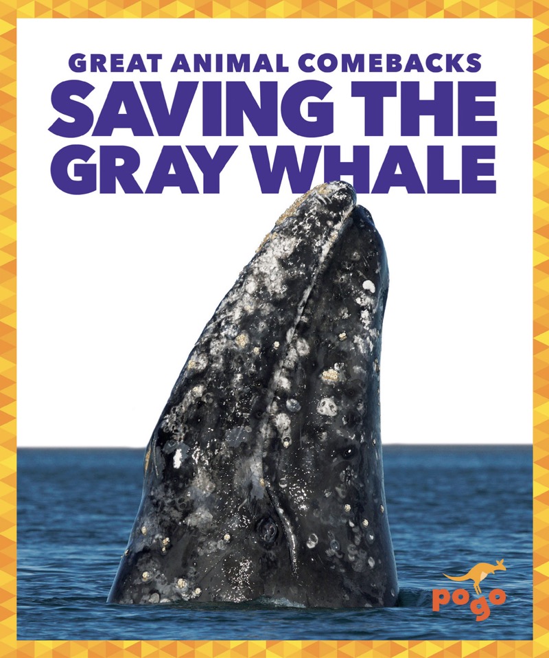 Saving the Gray Whale book cover