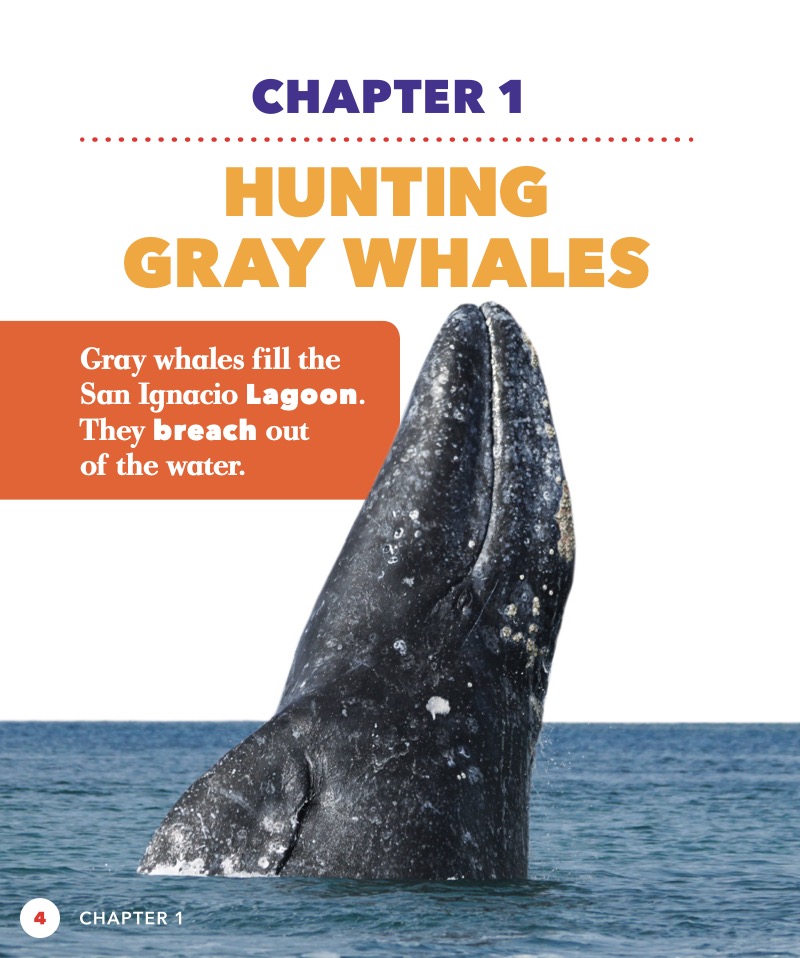 Saving the Gray Whale — page 1