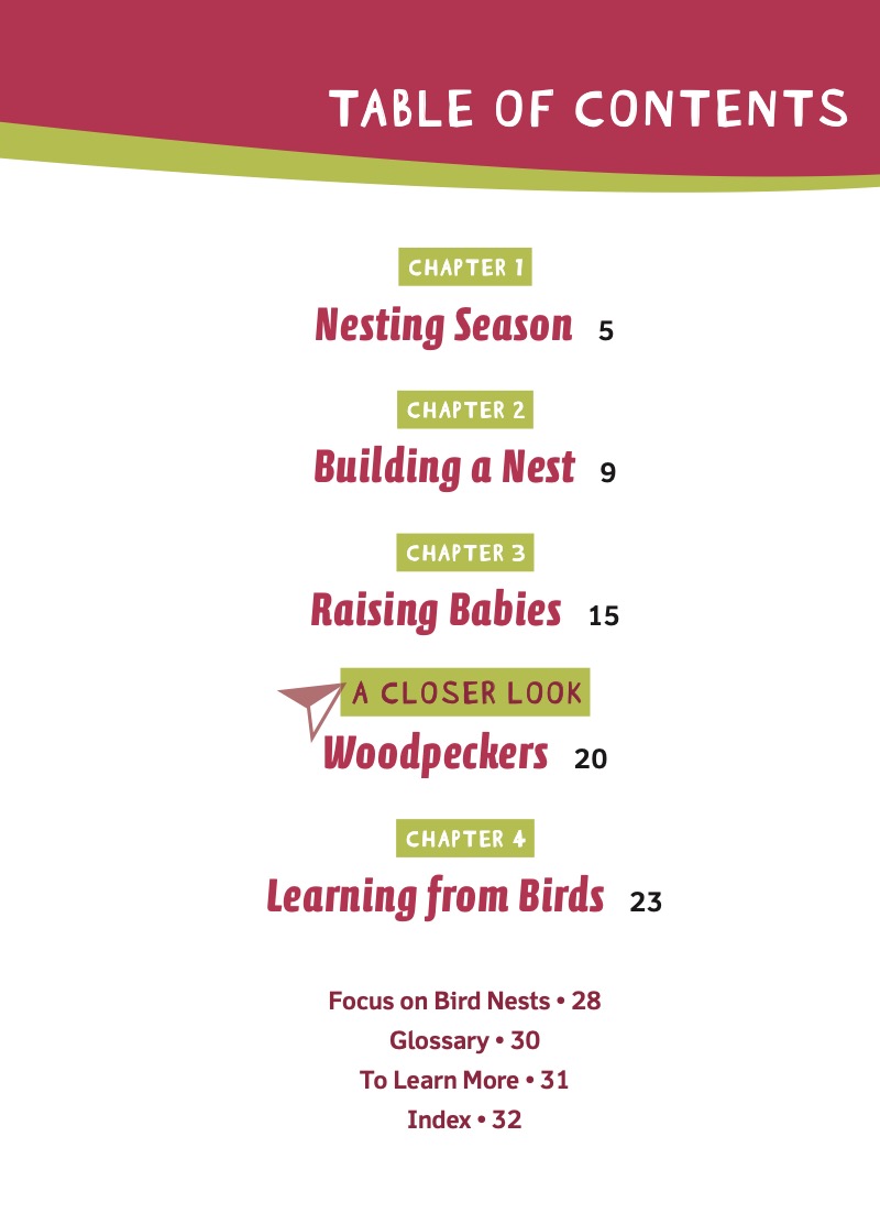Animal Engineers: Bird Nests book cover