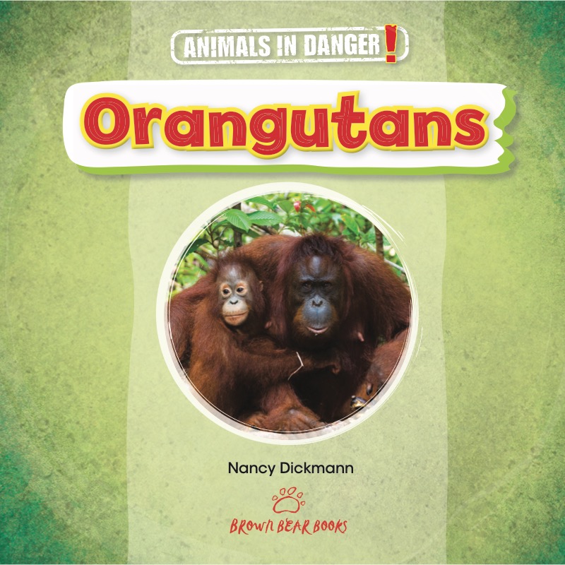 Animals in Danger: Orangutans book cover