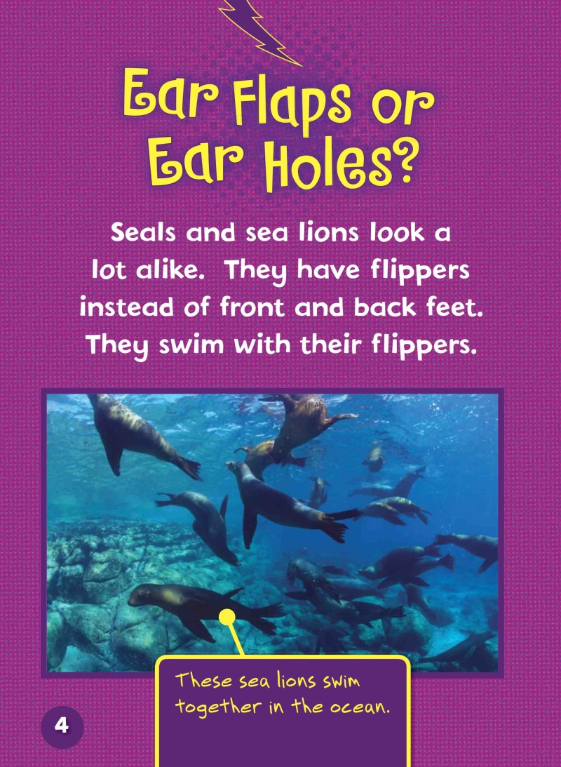 Can you tell a Seal from a Sea Lion? — page 1