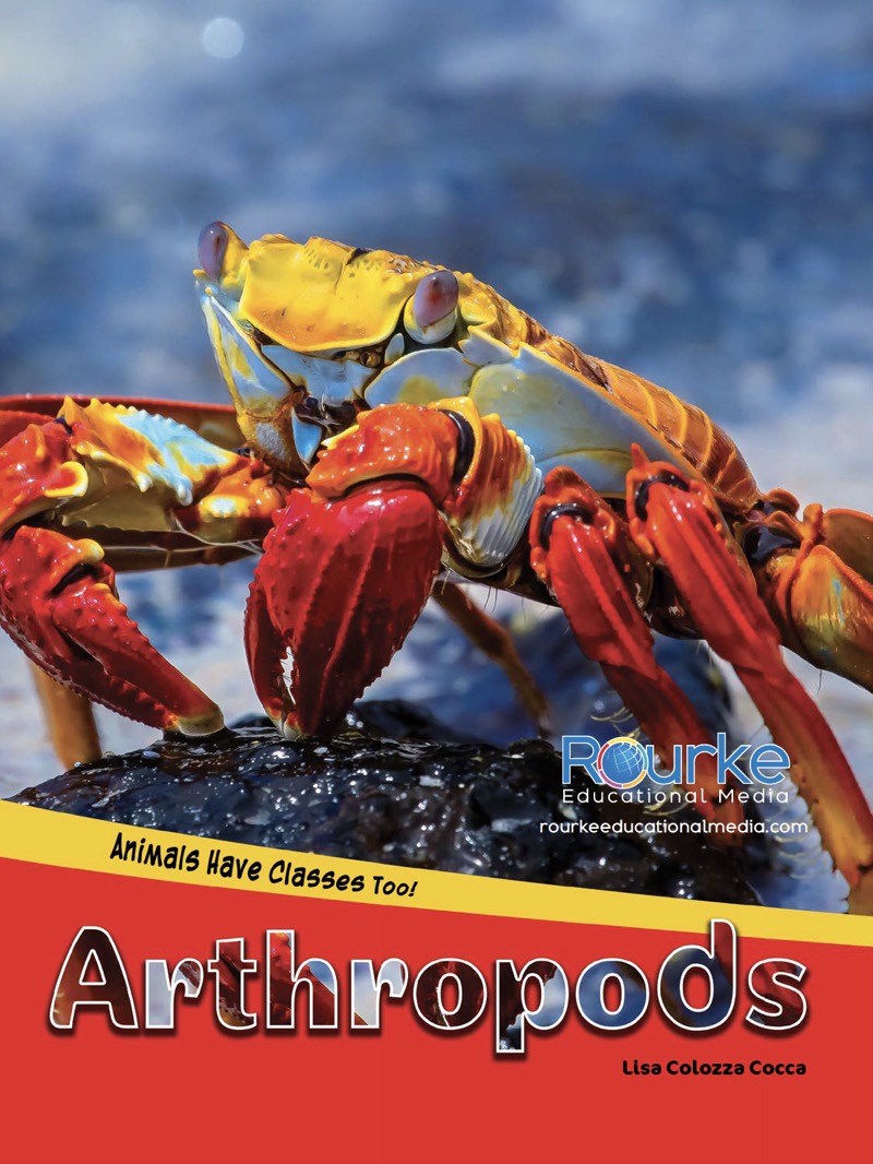 Animals Have Classes Too!: Arthropods book cover