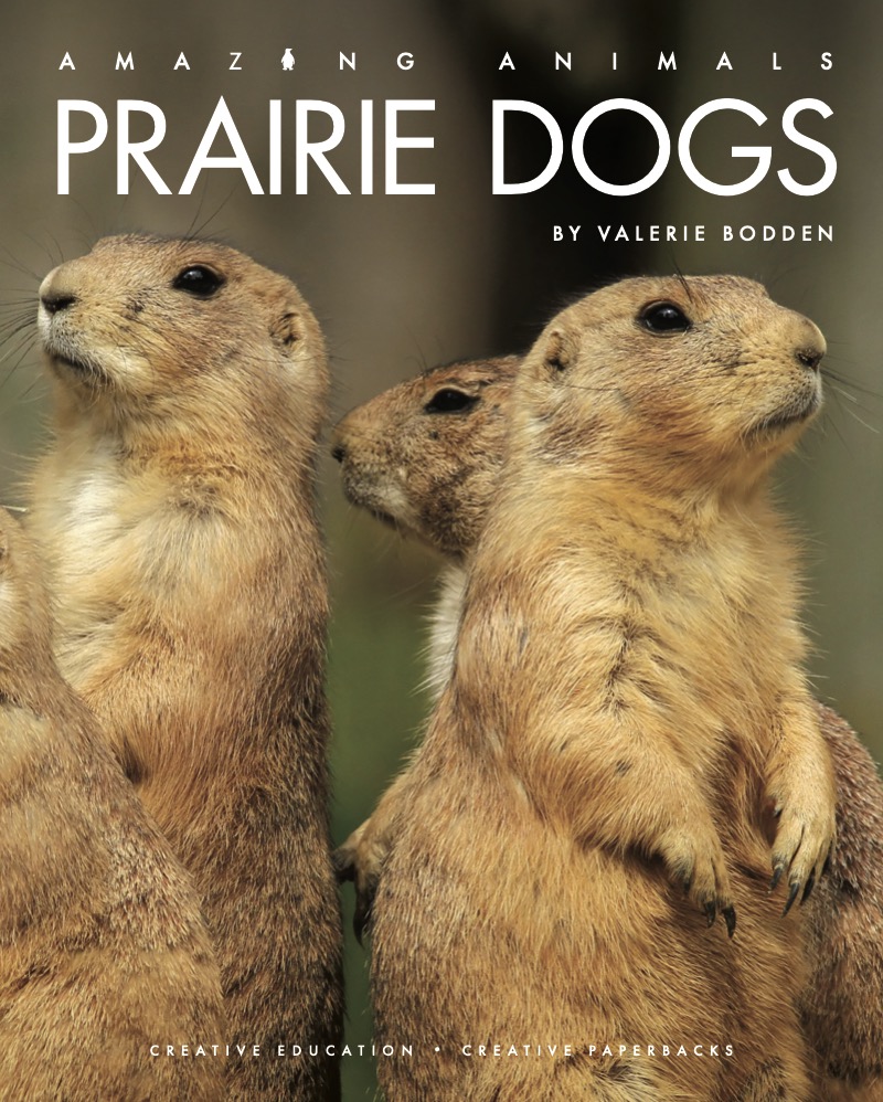 Amazing Animals: Prairie Dogs book cover