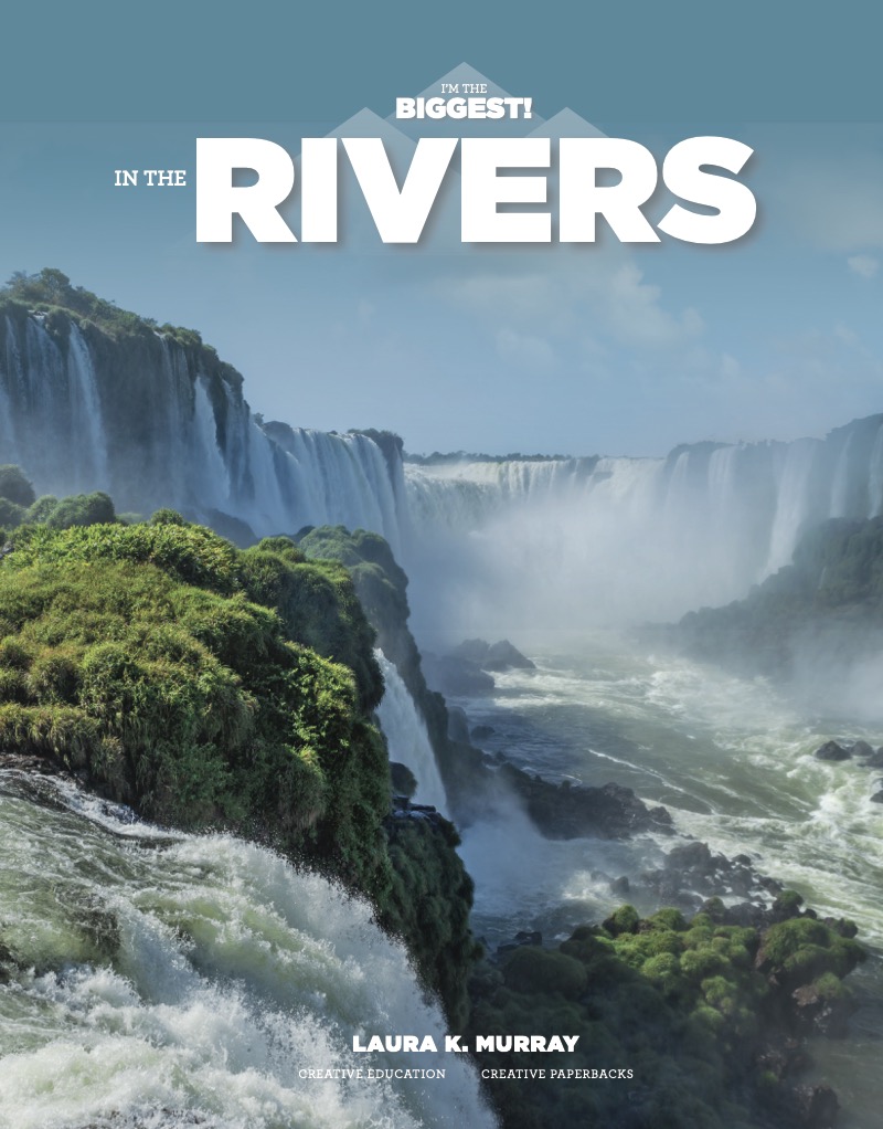 In The Rivers book cover