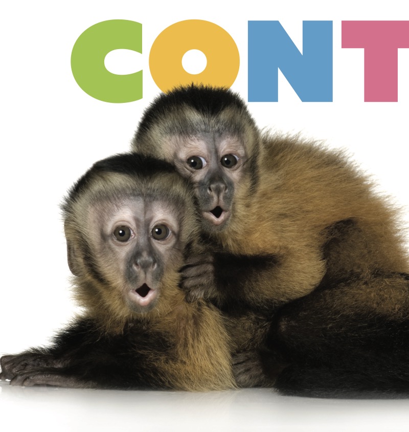 Starting Out: Baby Monkeys — page 1