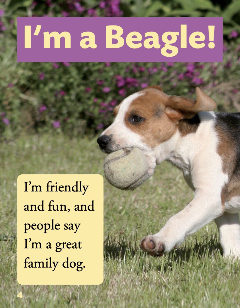 Beagle — page 1
