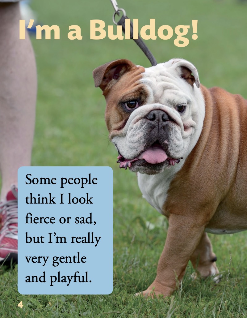 Bulldog — page 1