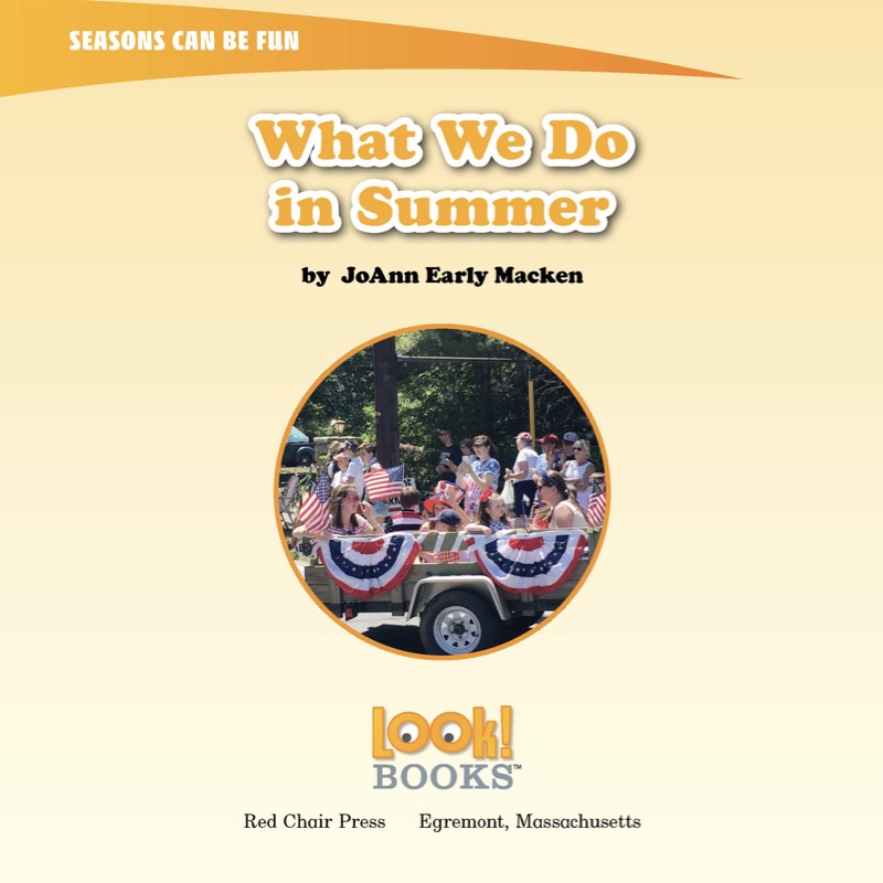 What We Do in Summer book cover