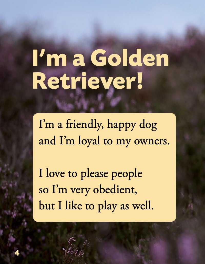 Golden Retriever — page 1