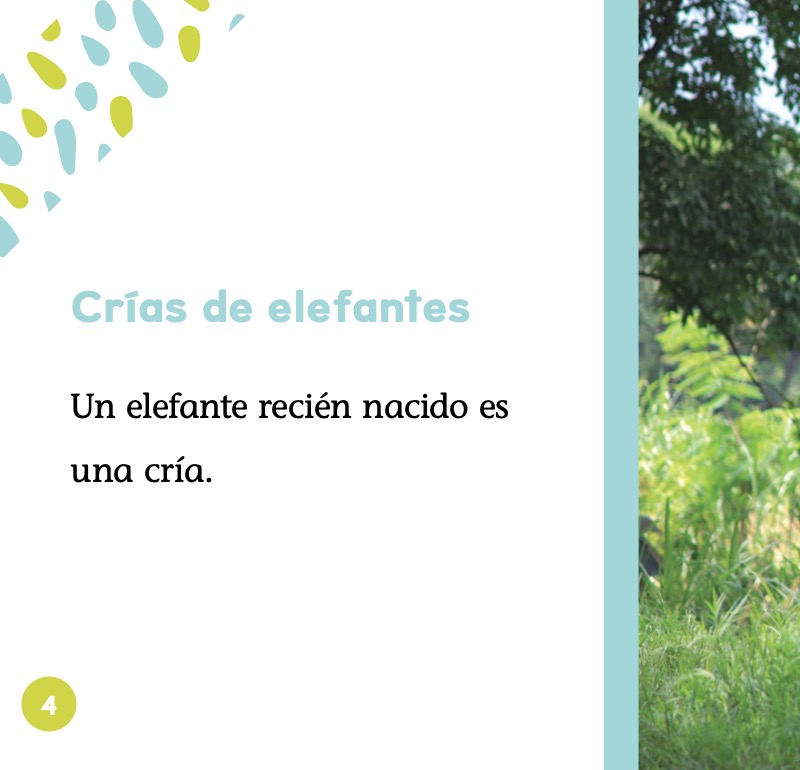 Crías de elefantes — page 1