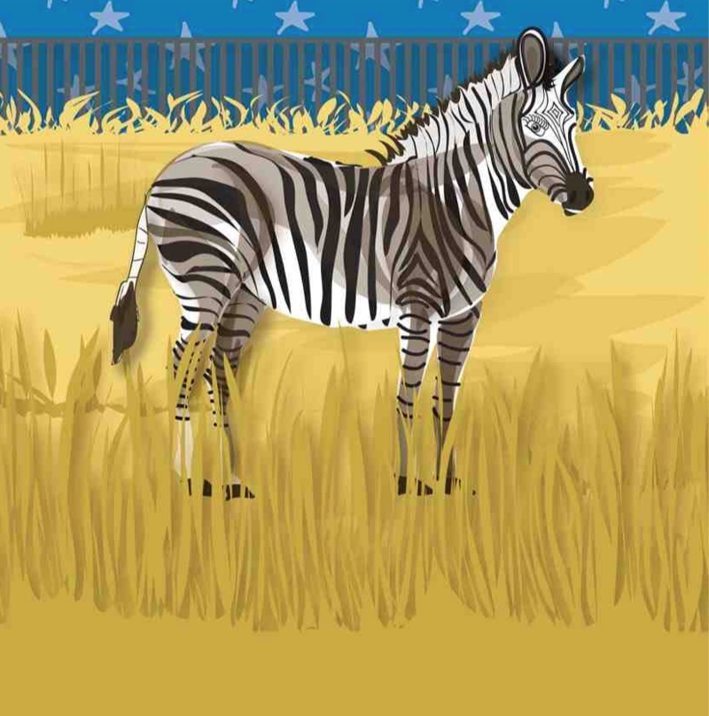 The Zebra Said Shhh — page 1