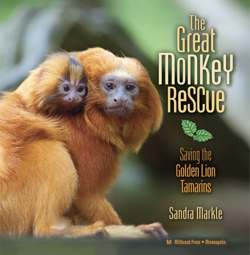 The Great Monkey Rescue: Saving the Golden Lion Tamarins book cover