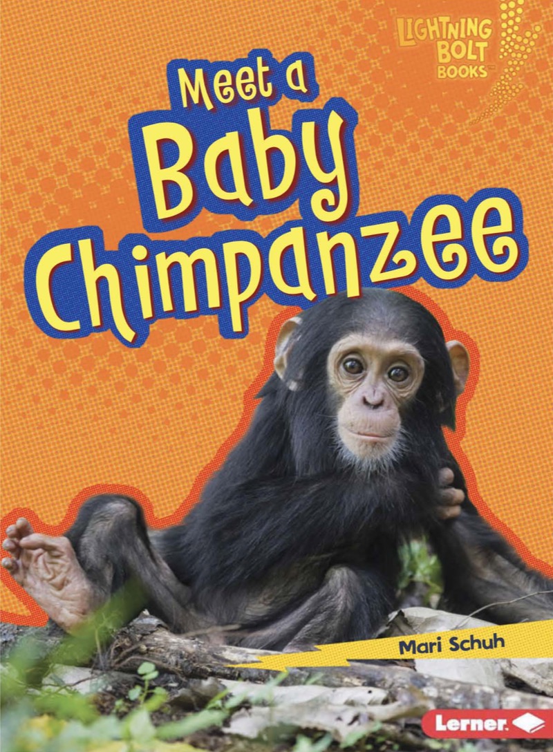 Meet a Baby Chimpanzee book cover