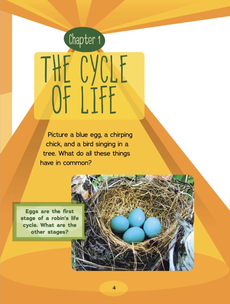 Investigating Animal Life Cycles — page 1