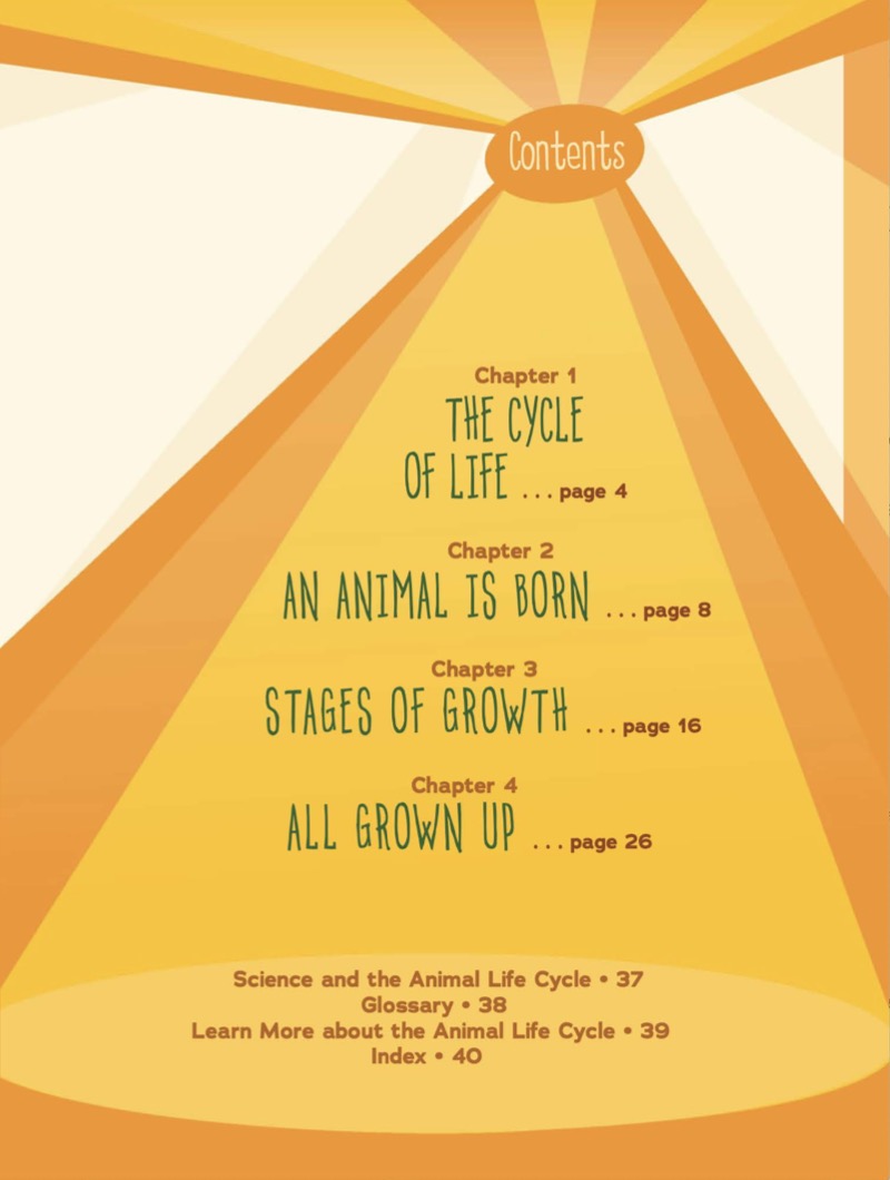 Investigating Animal Life Cycles book cover