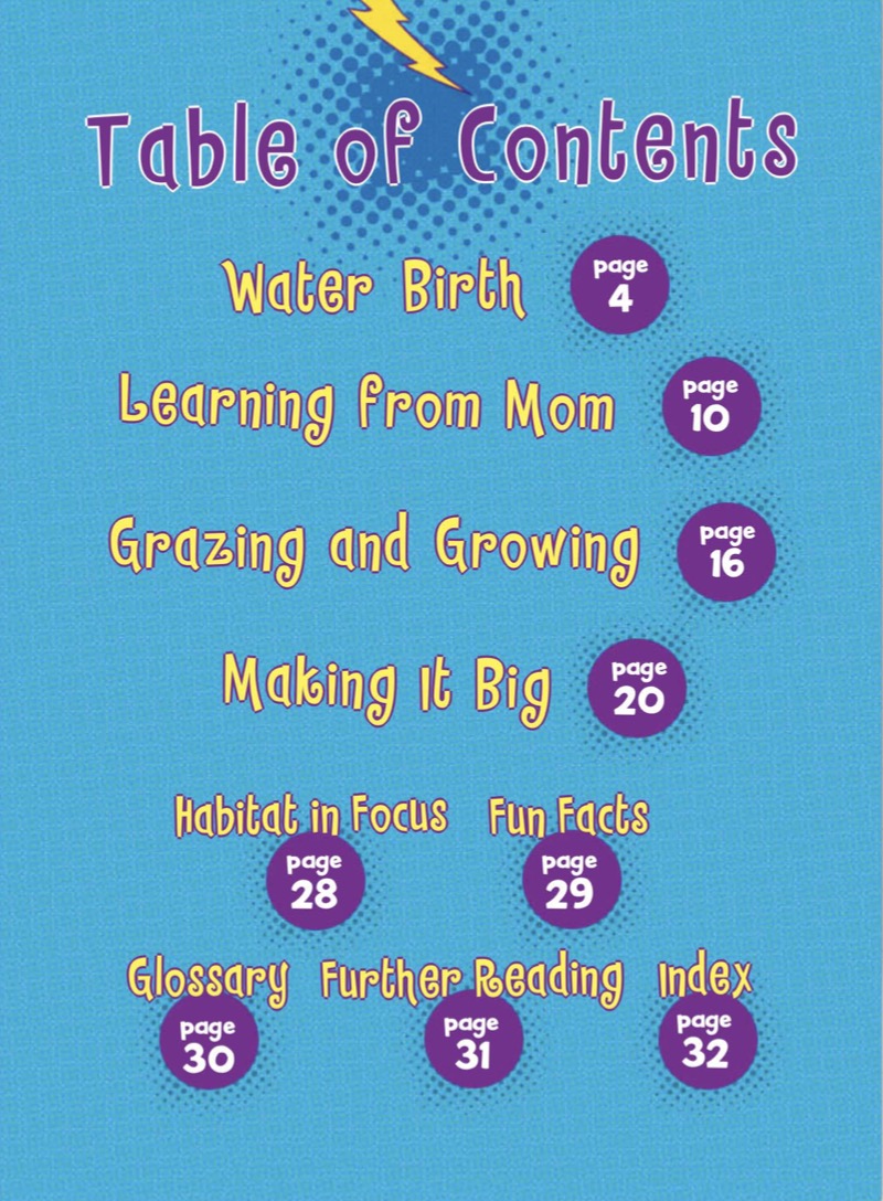 Meet a Baby Hippo book cover
