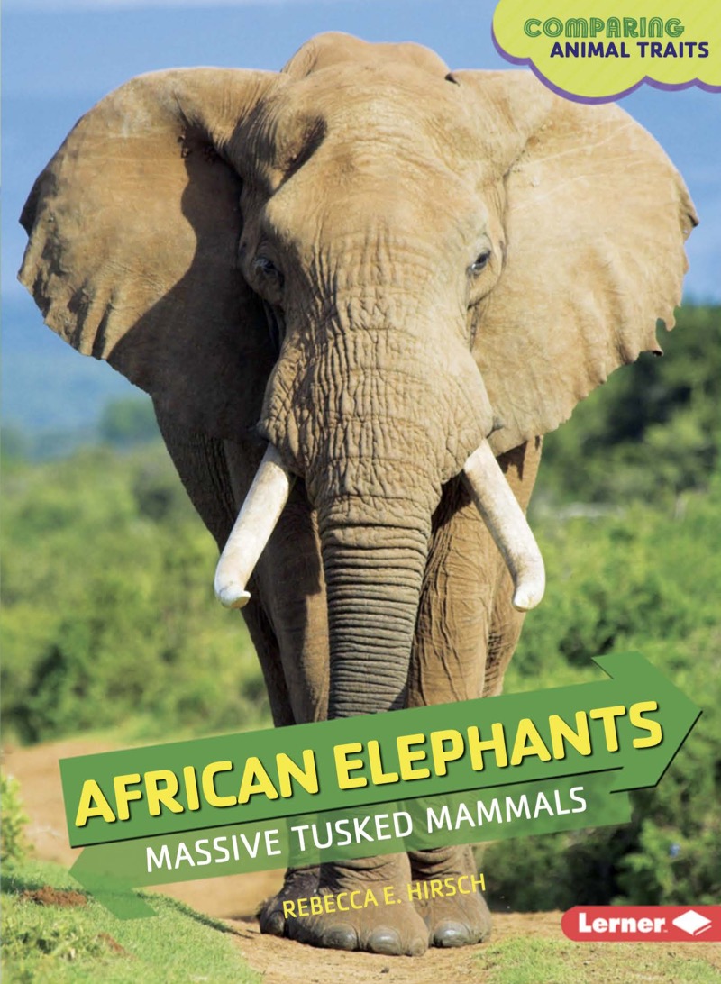 African Elephants: Massive Tusked Mammals book cover