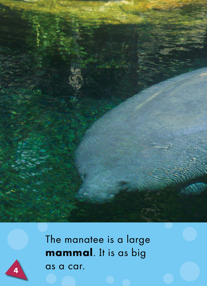 Manatees: Oceans Alive — page 1