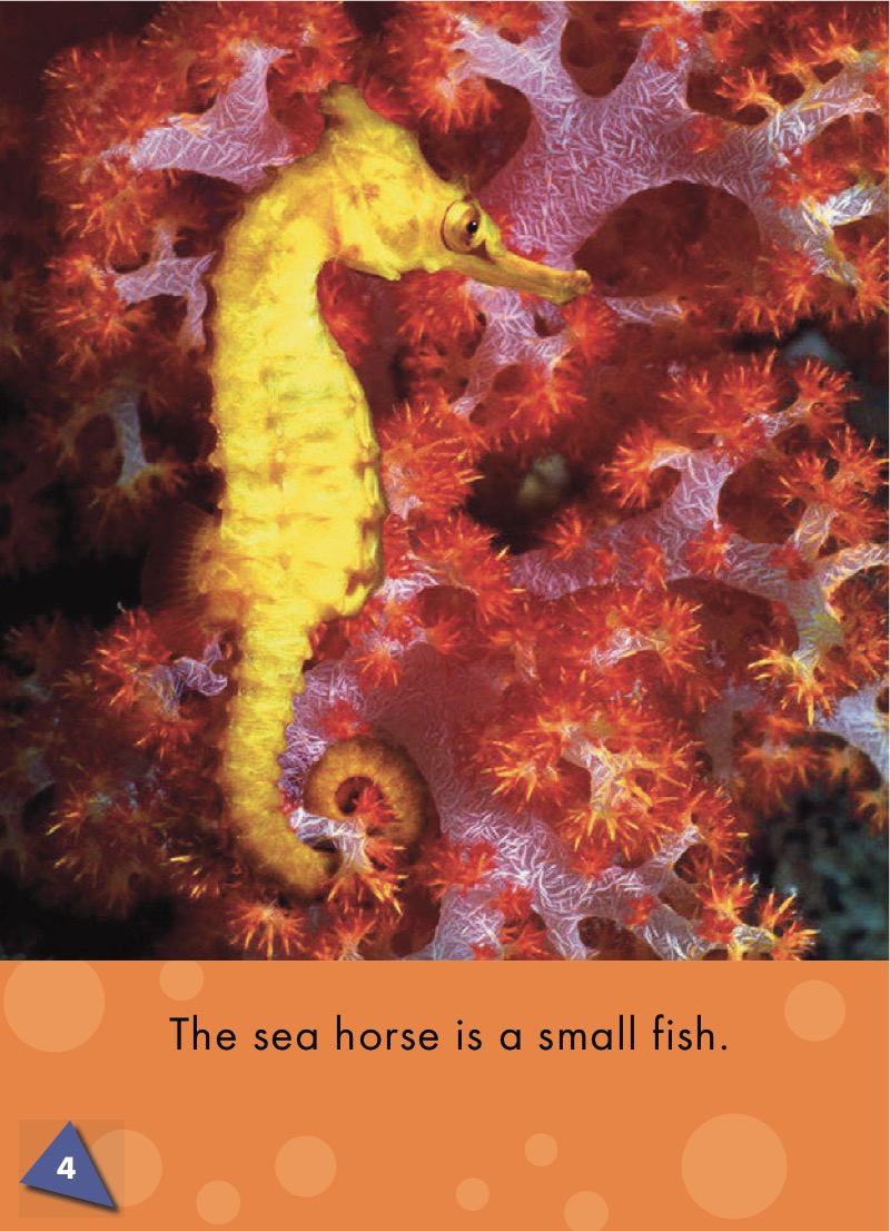 Sea Horses: Oceans Alive — page 1