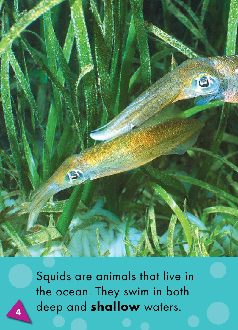 Squids: Oceans Alive — page 1