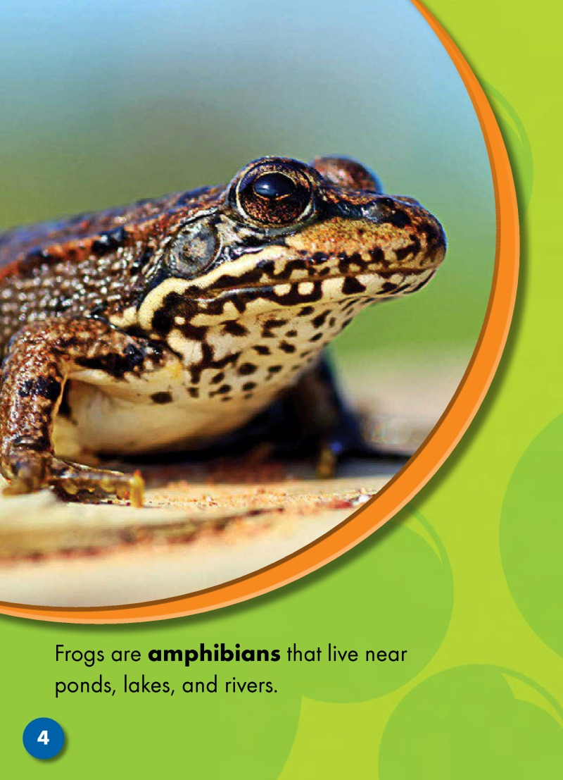 The Life Cycle of a Frog — page 1