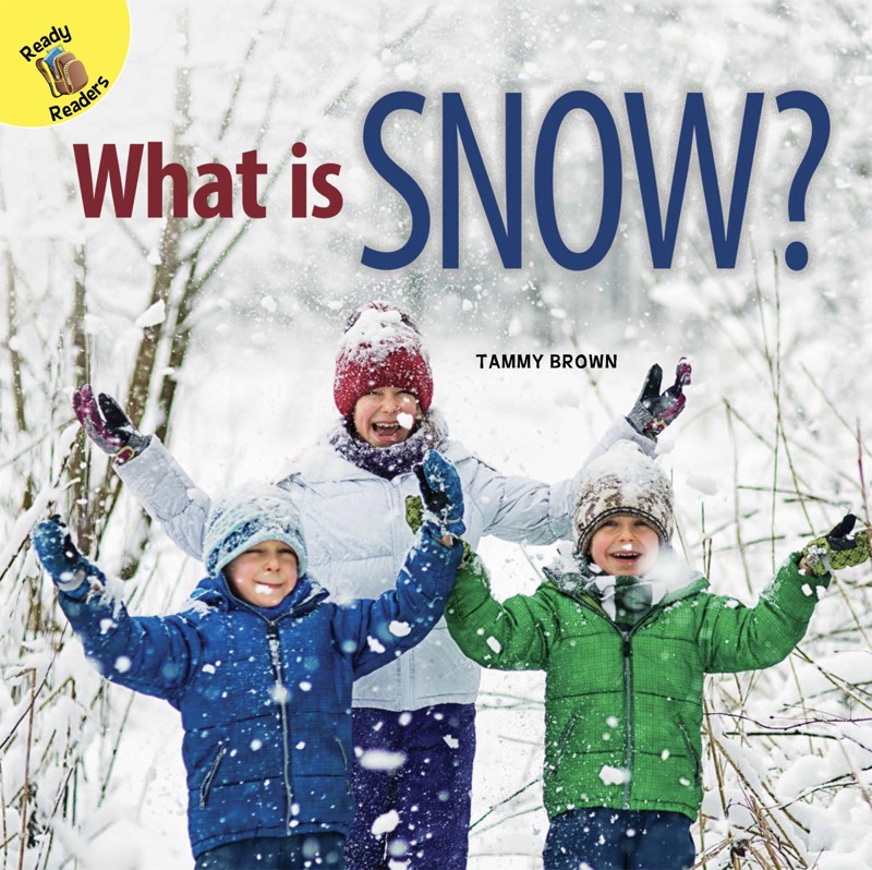 What is Snow? book cover