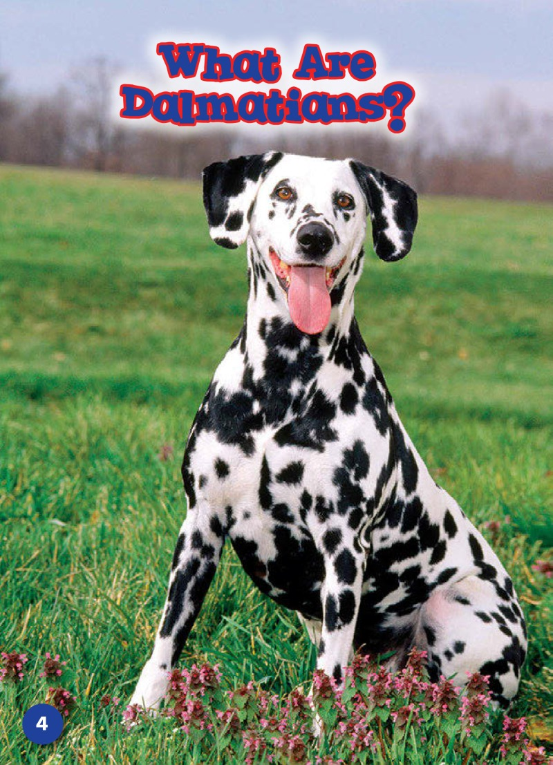 Dalmatians: Dog Breeds — page 1