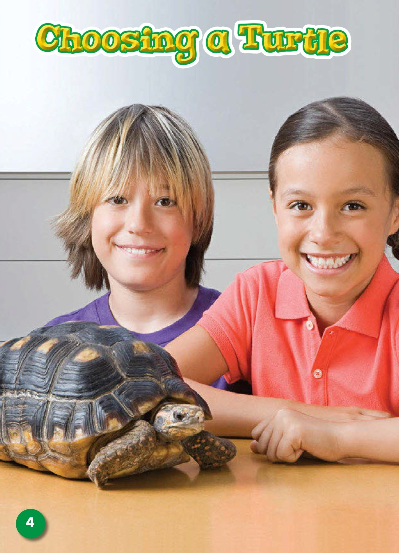 Caring For Your Turtle: Pet Care Library — page 1