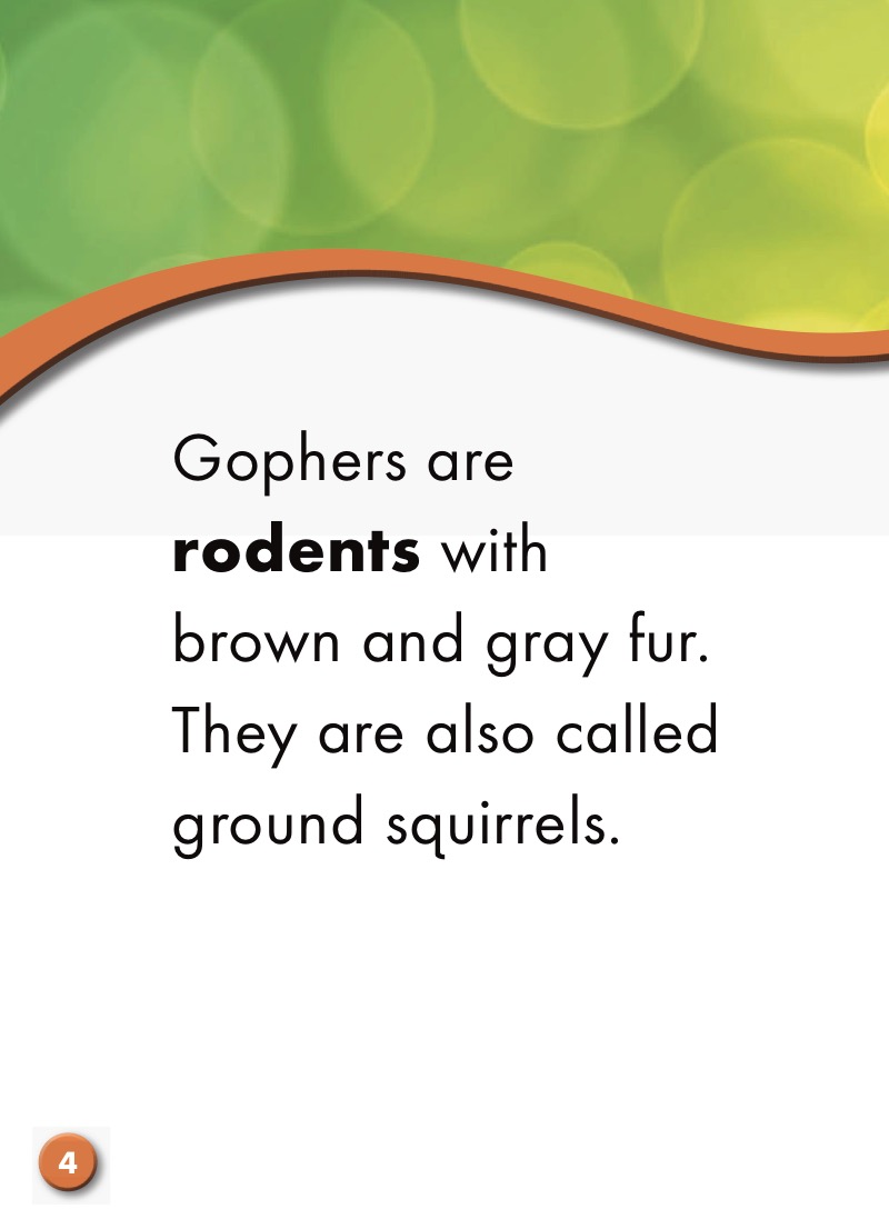 Gophers: Backyard Wildlife — page 1