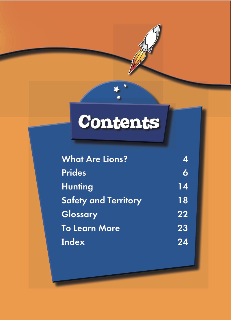 Lions: Animal Safari book cover